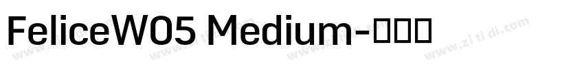 FeliceW05 Medium字体转换